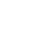 Conquest Logo